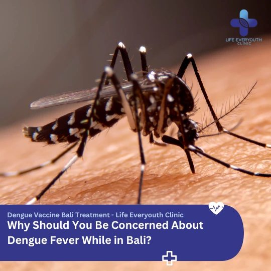 Why Should You Be Concerned About Dengue Fever While in Bali