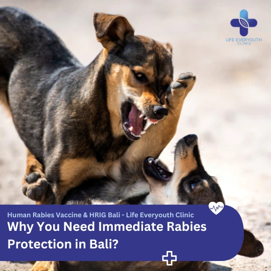 Why You Need Immediate Rabies Protection in Bali