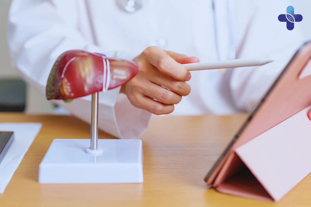 Conclusion Hepatitis A in Bali Causes, Symptoms, Prevention, and Treatment Options