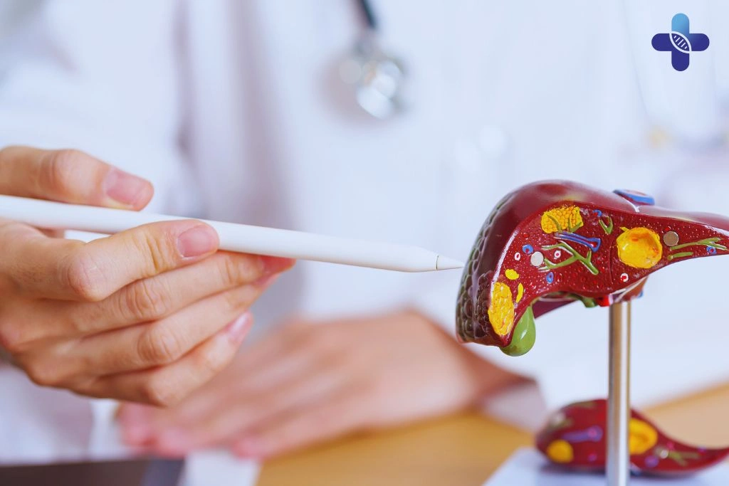 Hepatitis A in Bali Causes, Symptoms, Prevention, and Treatment Options