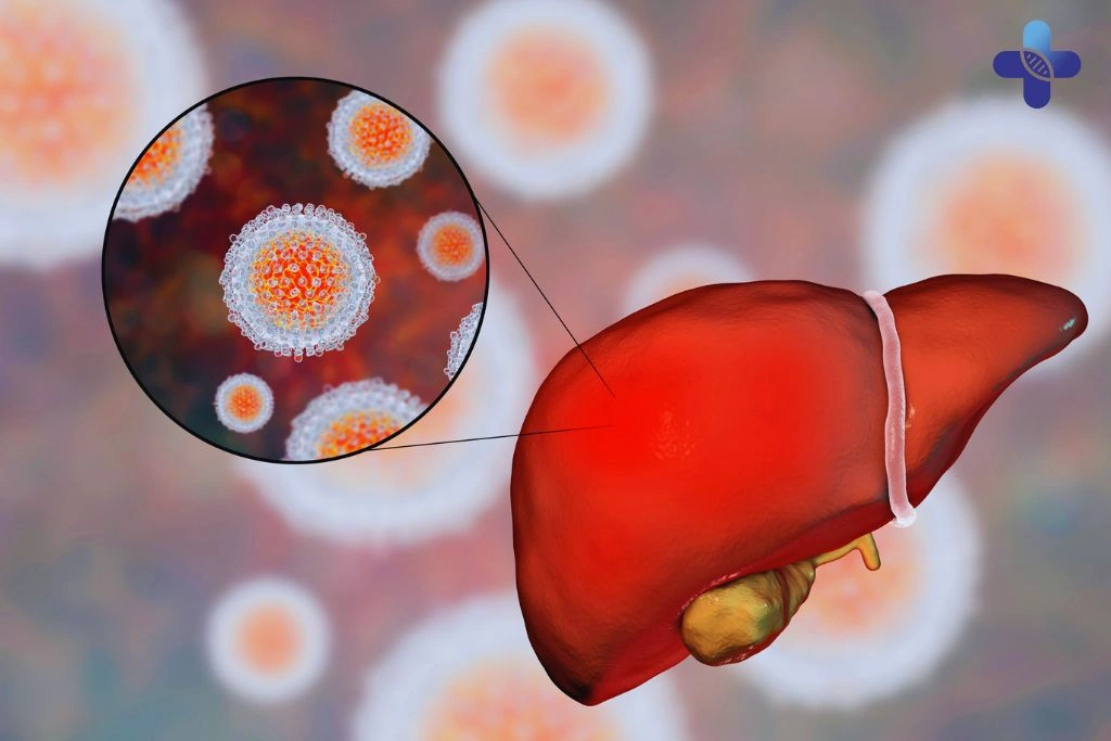 How is Hepatitis B Transmitted