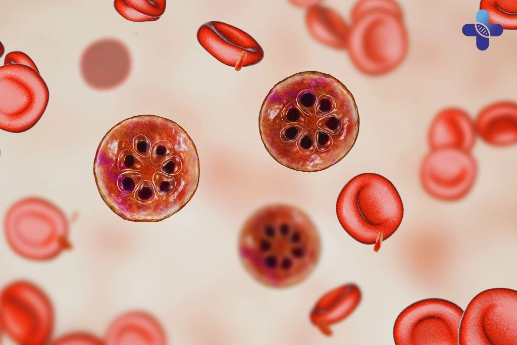 Malaria Prevention in Bali
