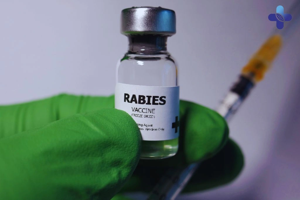 Rabies Vaccination in Bali