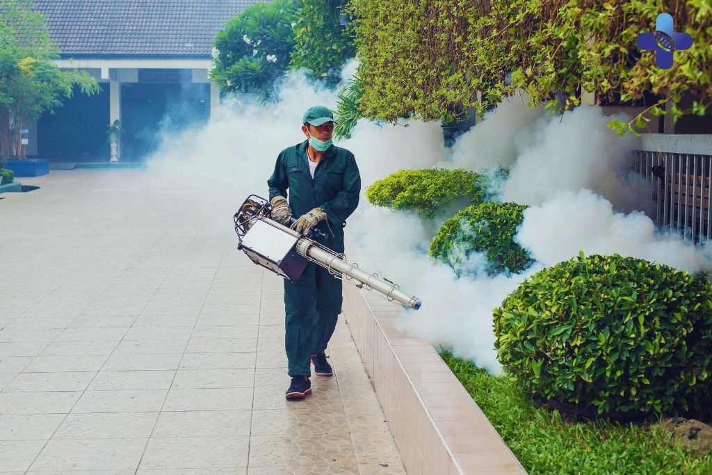 Tips for Preventing and Managing Chikungunya in Bali