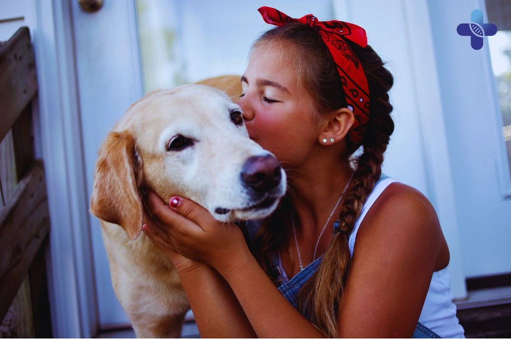 Conclusion of Animal Bites in Bali Get Medical Help Fast