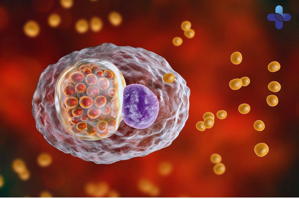 Tips to Prevent Chlamydia Trachomatis