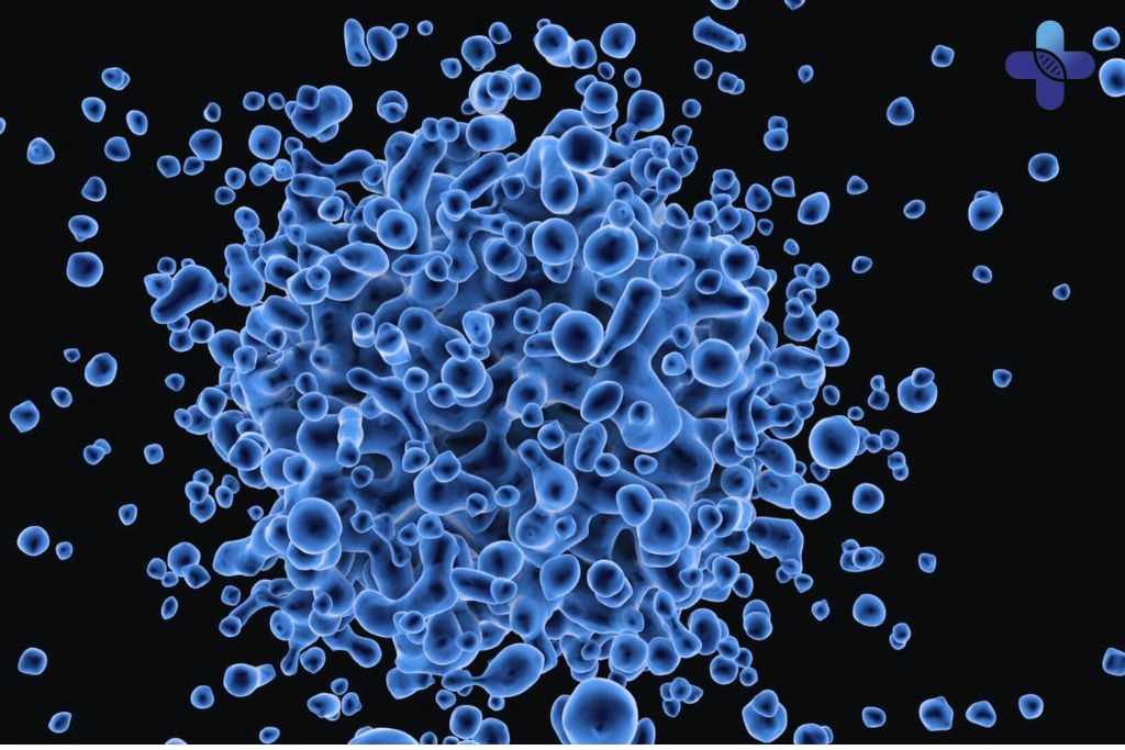 Understanding Neisseria Gonorrhoeae in Bali Symptoms, Risks, and Effective Treatment Options