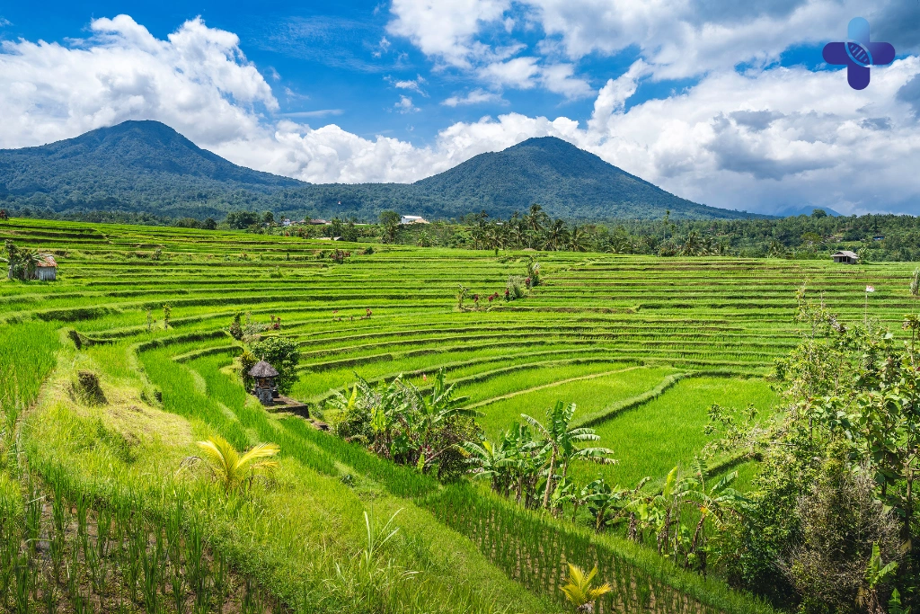 Conclusion of What to Do After Unprotected Sex During Your Holiday in Bali