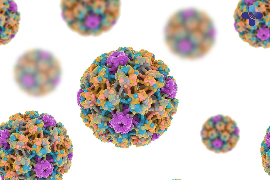 Symptoms and Signs of HPV Infection