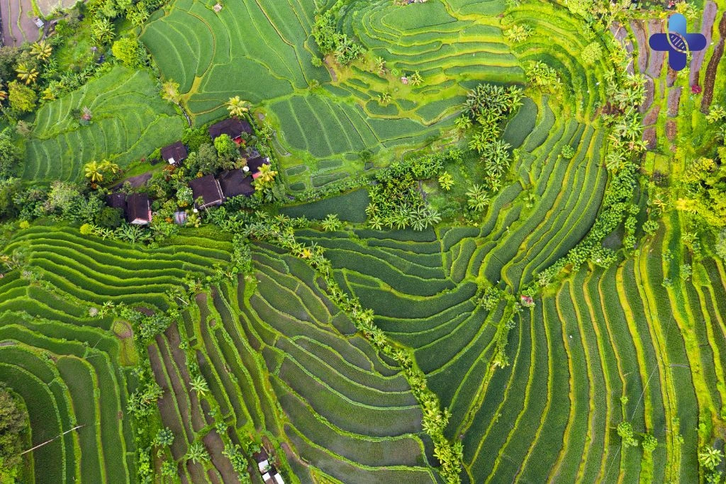 What to Do After Unprotected Sex During Your Holiday in Bali