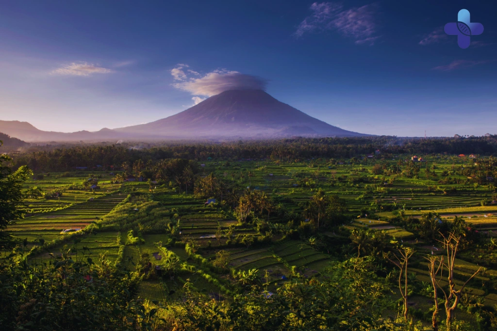 Conclusion Bleeding After Sex in Bali_ Here's What It Might Mean