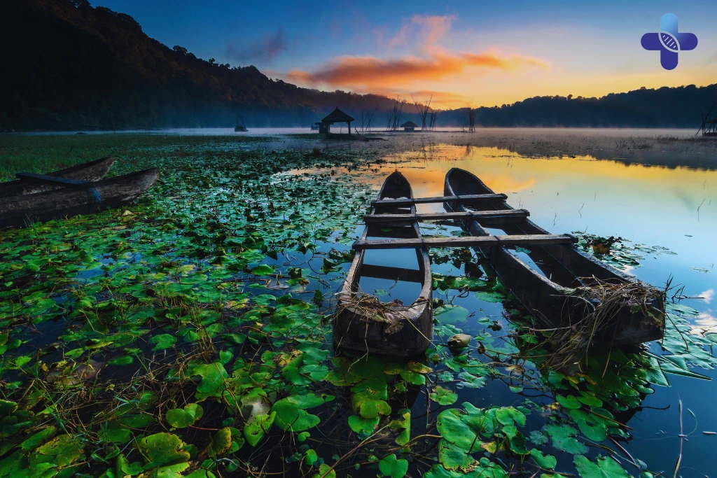 Conclusion Compare STD Test Packages in Bali – Find the Right One for You