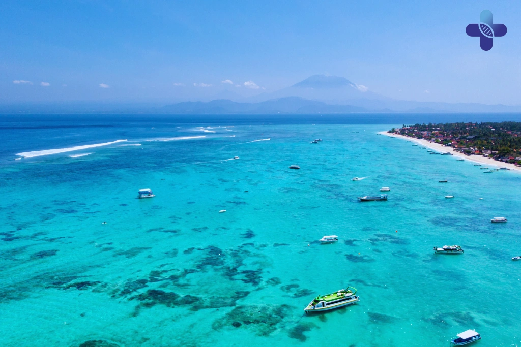 Conclusion Hookup in Bali Don’t Forget STD Testing After the Fun