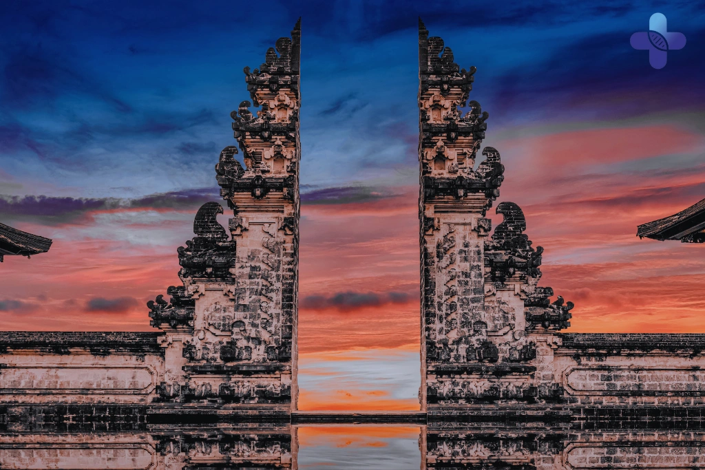Conclusion Medium STD Test Bali – What’s Inside and Who It’s For