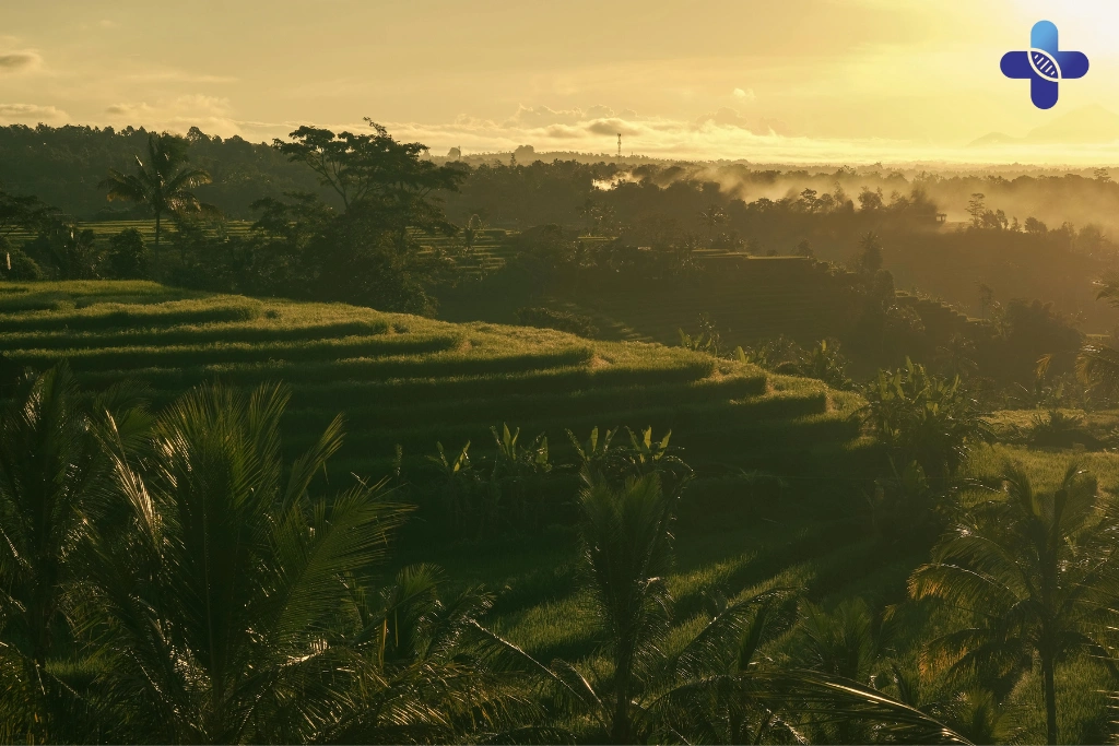 Conclusion Bali Health and Safety_ 15 Tips for a Safe 2025 Trip