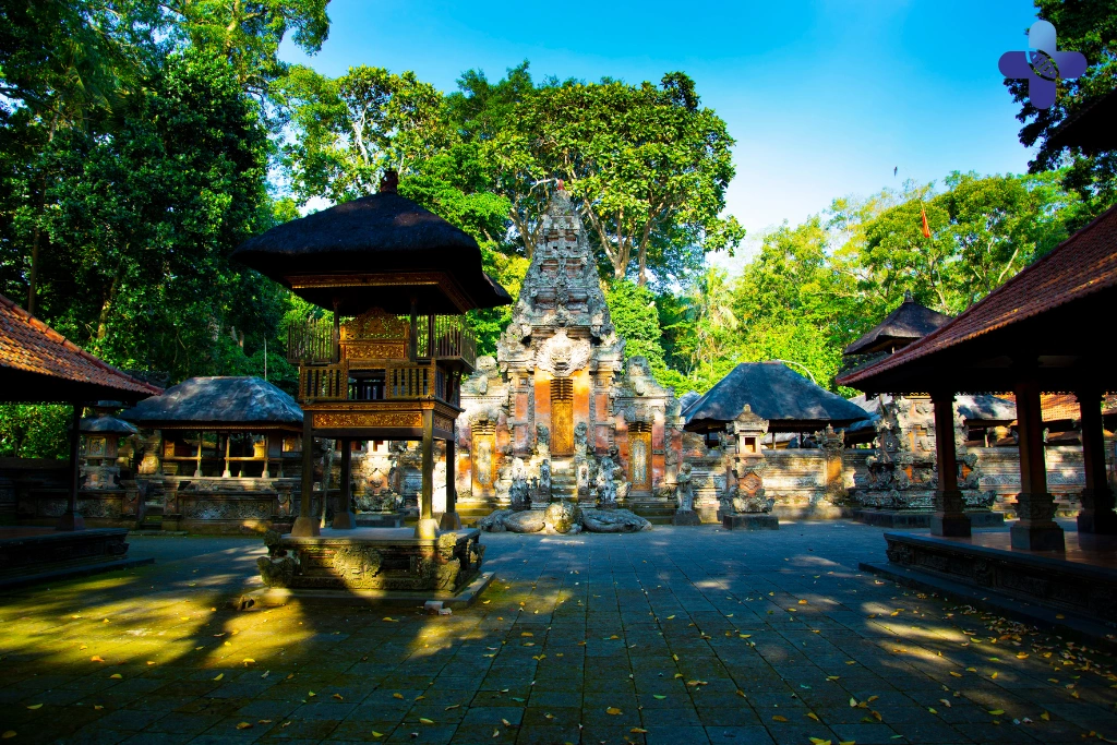 Conclusion Bali Vaccinations Guide (2025) What Shots Do You Need