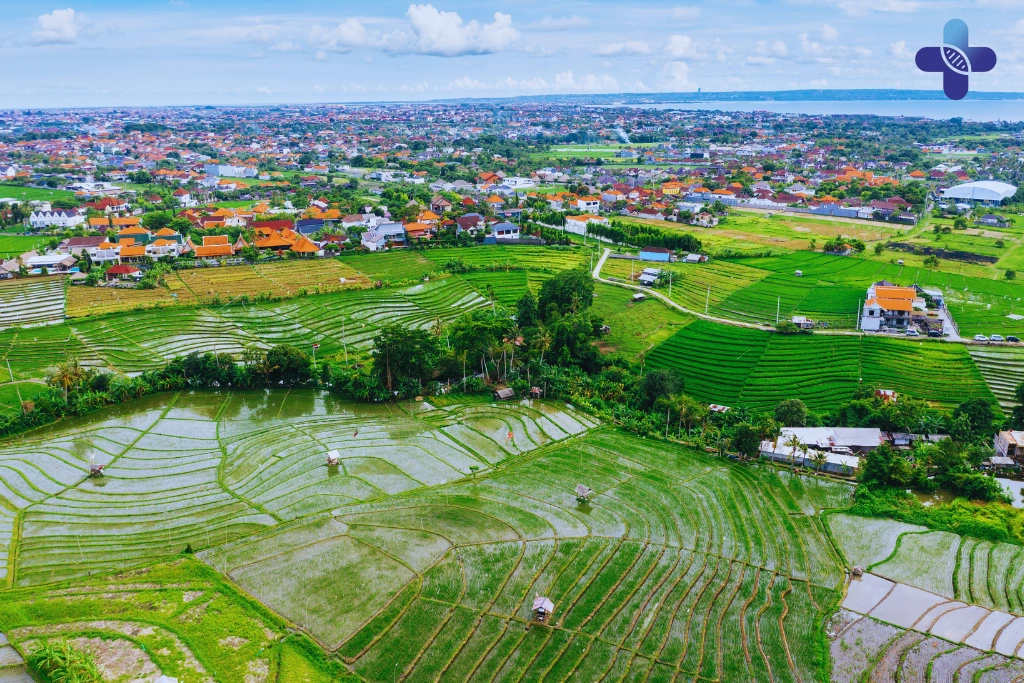 Conclusion Bali's Best Gyms_ A 2025 Guide to Canggu, Ubud & Seminyak