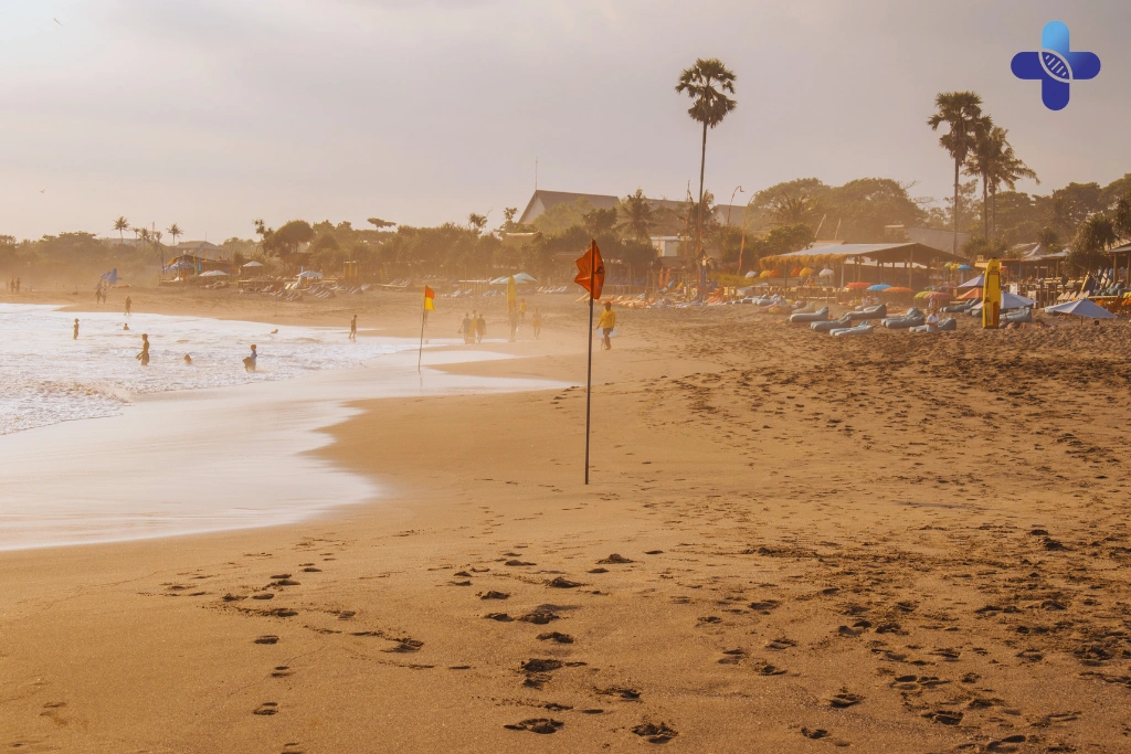 Conclusion Cat Bite or Scratch in Bali_ A Doctor's Guide to Rabies Risk