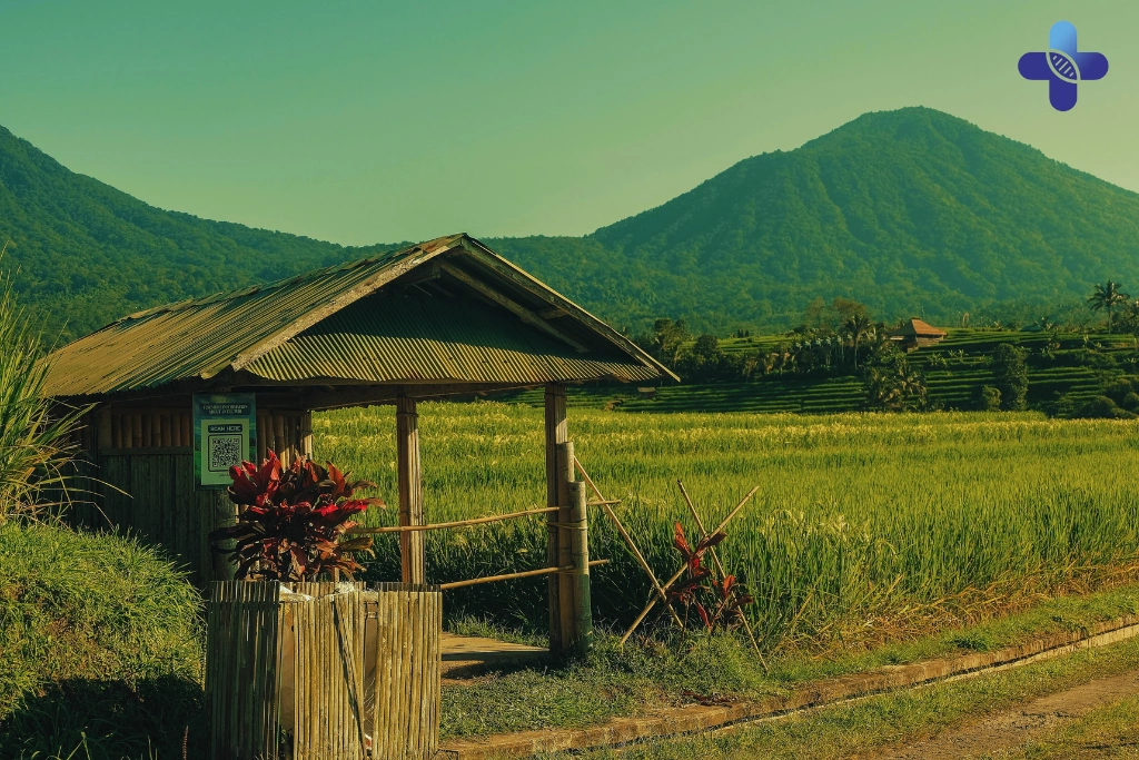 Conclusion Ethical Animal Sanctuaries in Bali_ A Guide for Responsible Tourists