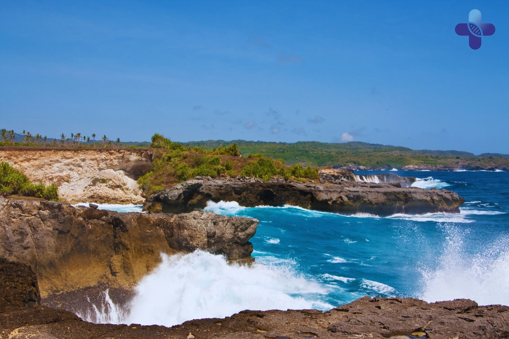 Conclusion How to Avoid Getting Sick in Bali_ A Proactive Immune Guide (2025)