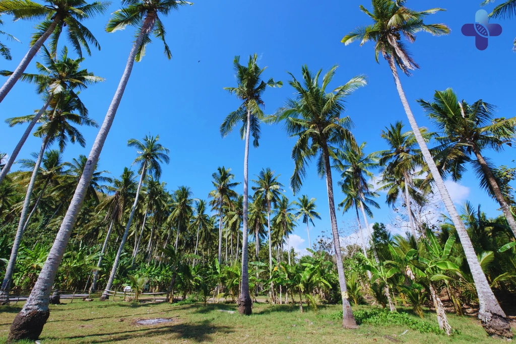 Conclusion How to Handle the Bali Heat_ 7 Tips to Stay Cool & Hydrated