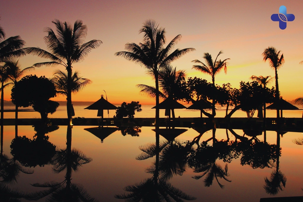 Conclusion Pre-Exposure Rabies Vaccine (PrEP) in Bali_ A Guide for Expats