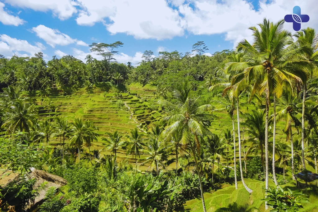 Conclusion Preparing for a Bali Yoga Retreat or YTT_ A Complete Guide (2025)