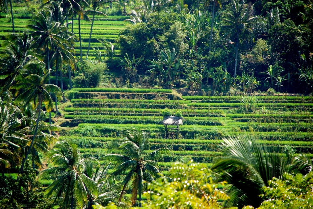 Conclusion Risk-Based STD Test Guide in Bali – Choose the Right Package