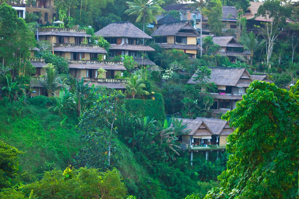 Conclusion STD Add-Ons in Bali – Urinalysis & Genital Swab Explained
