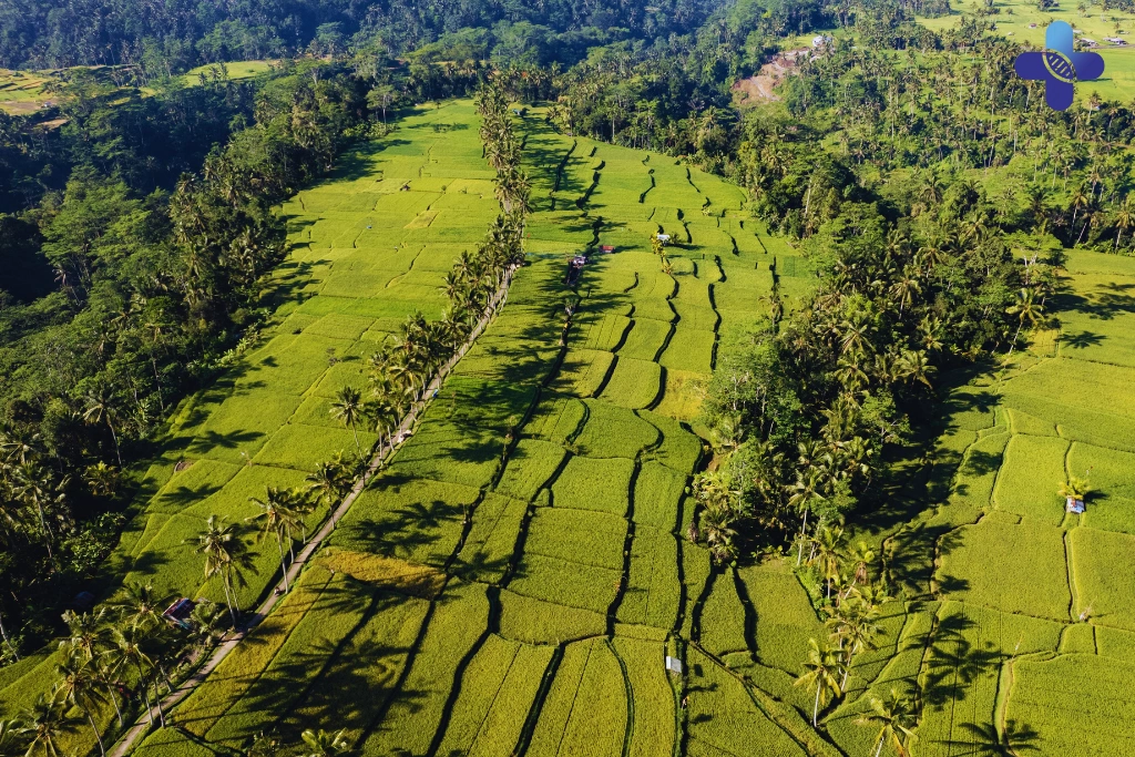 Conclusion Training in Hot Climates_ A Science-Backed Acclimatization Guide for Bali