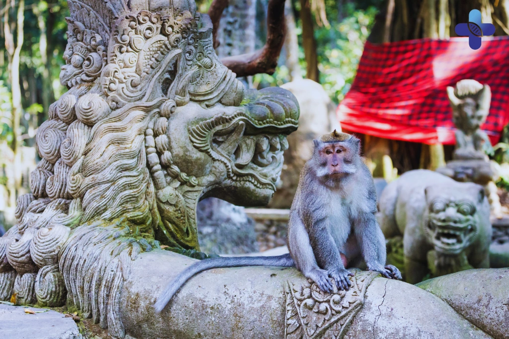 Conclusion Ubud Monkey Forest_ 10 Essential Tips for a Safe Visit (2025)