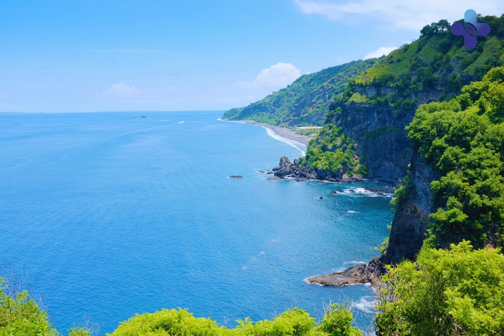 Conclusion Why We Offer STD Test Packages Only – Life Everyouth Clinic Bali