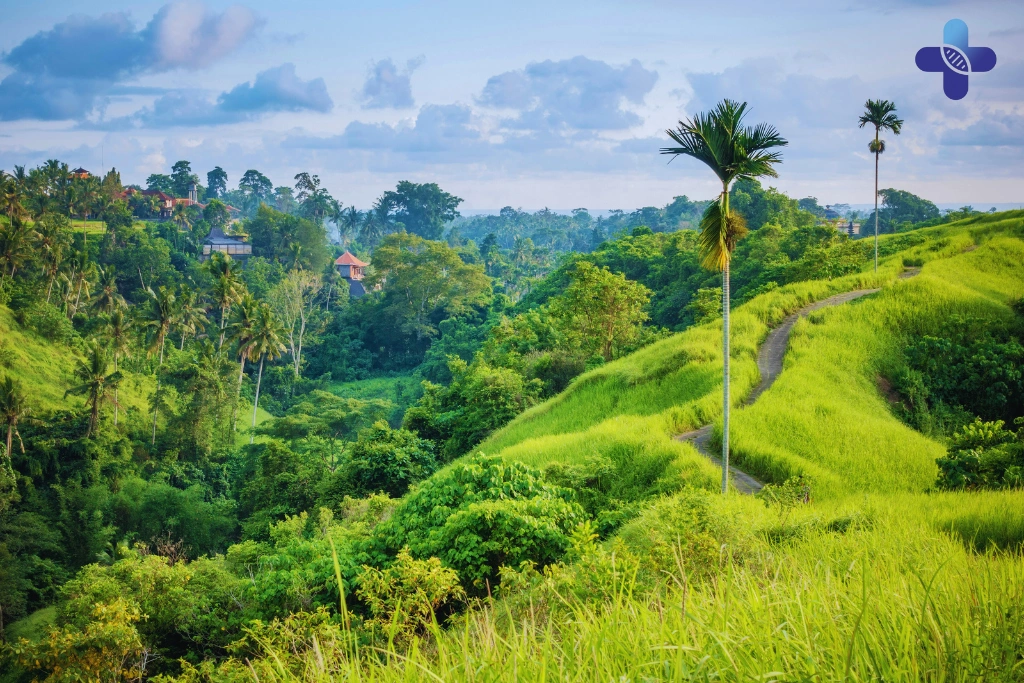 Conclusion Your Ultimate Bali Wellness Guide Eat, Move, Thrive (2025)