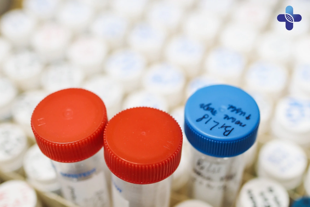 Recommended Alternative – Our Pre-Designed STD Packages