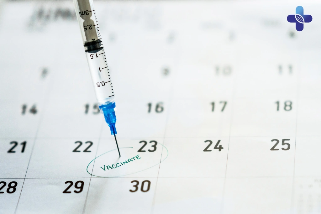 Your Rabies Vaccine Schedule in Bali_ A Guide for After Your First Shot