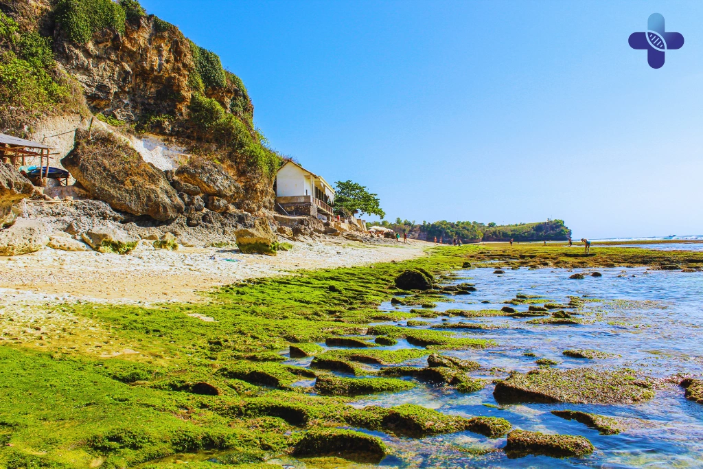 Conclusion Feeling Rundown or Weak in Bali_ How to Get Your Energy Back Fast