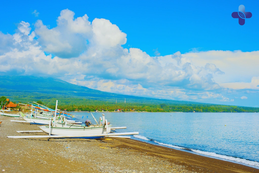Conclusion Fever and Muscle Pain in Bali_ What to Know (2025)