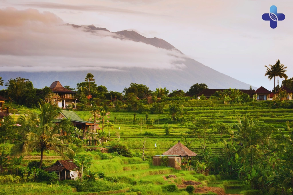 Conclusion Mild Fever in Bali_ Risks You Shouldn’t Ignore (2025)