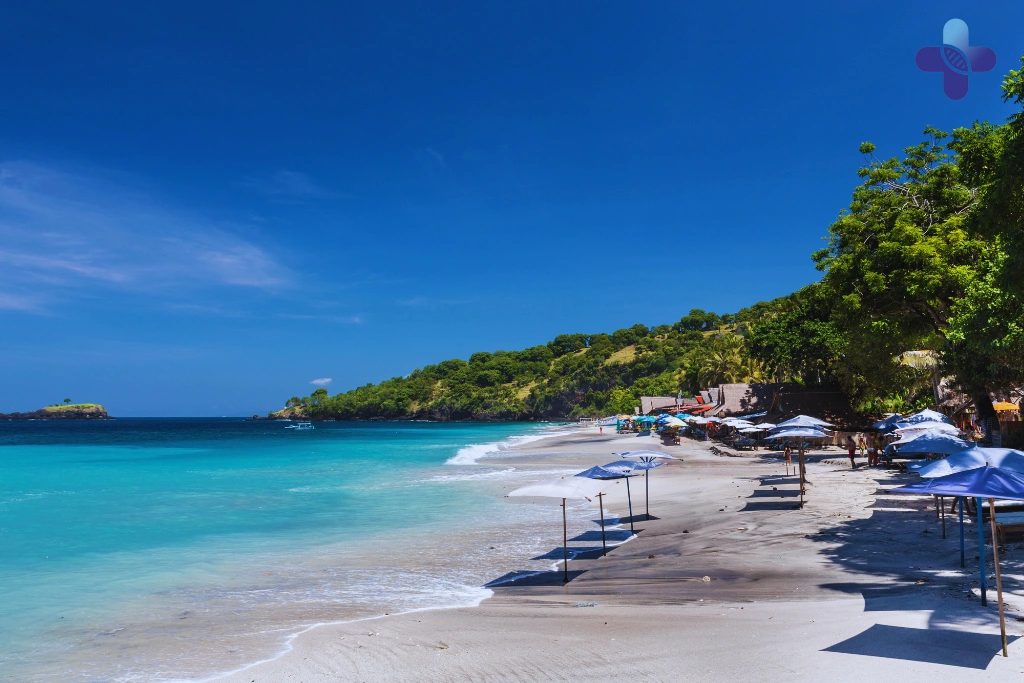 Conclusion Mosquito Bites in Bali_ Risks and Prevention