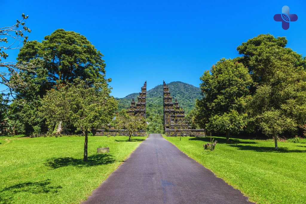 Conclusion Recurring Low-Grade Fever in Bali (2025 Guide)