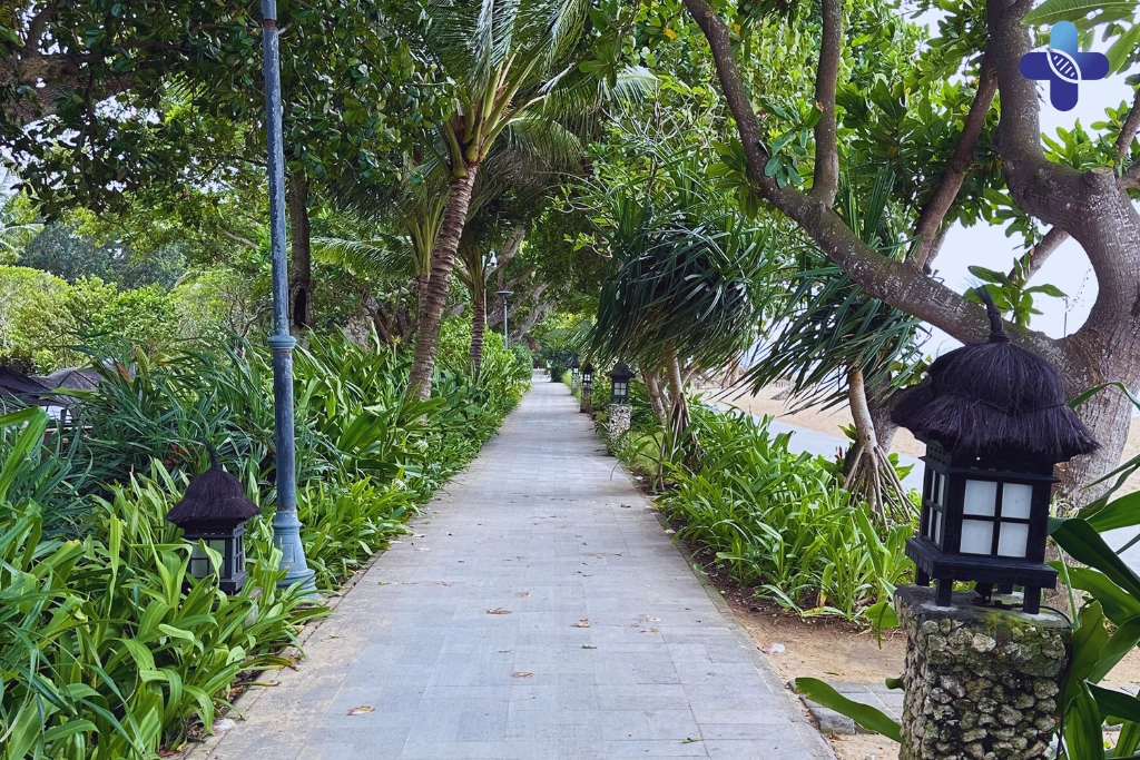 Conclusion Sudden Muscle Aches in Bali_ A Doctor Explains the Causes