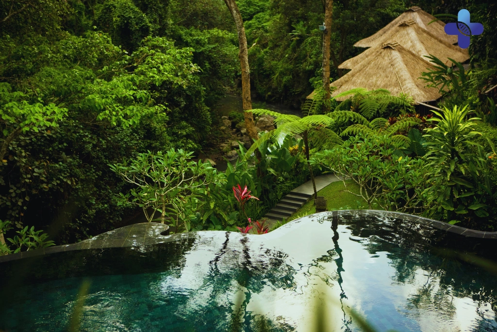 Conclusion Understanding Mosquito-Borne Illnesses in Bali (2025