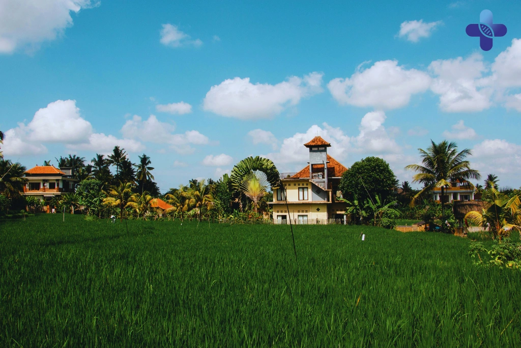 Conclusion Vacation Fatigue in Bali_ Signs It’s More Serious (2025)