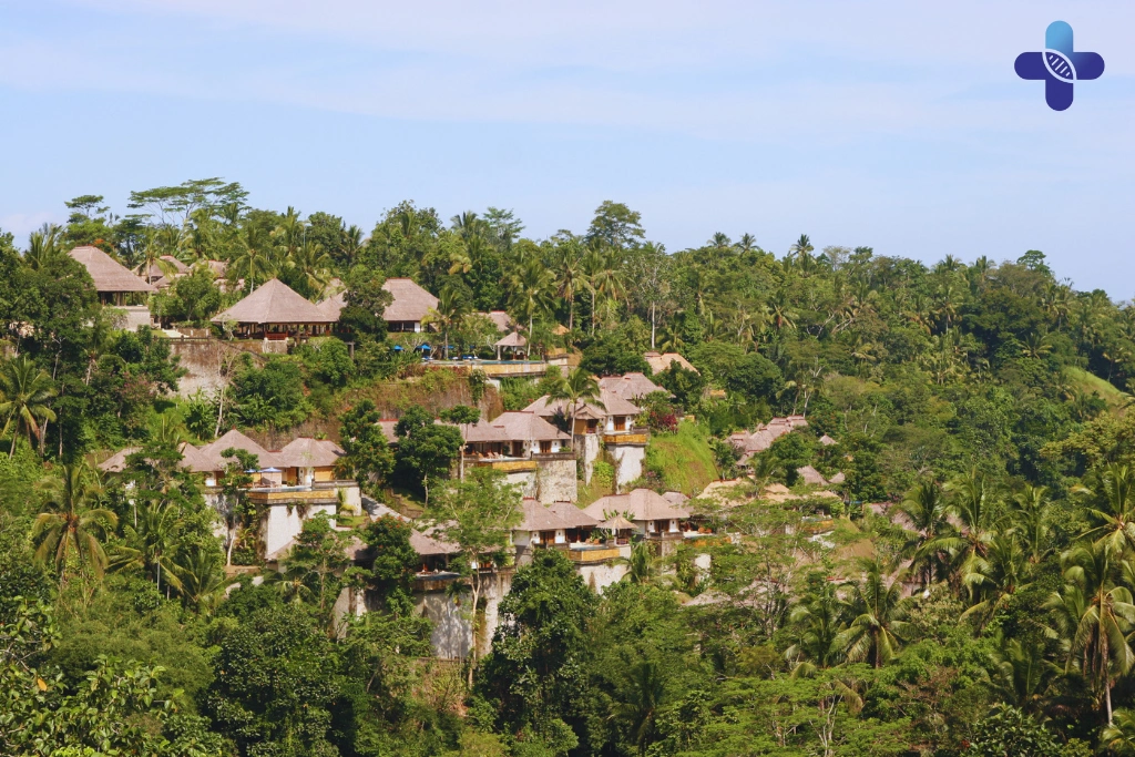 Conclusion What is a Myer's Cocktail_ The Original Wellness IV Drip in Bali