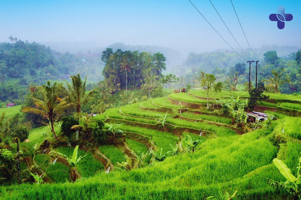 Conclusion_ How to Stay Healthy in Bali’s Rainy Season (2025)