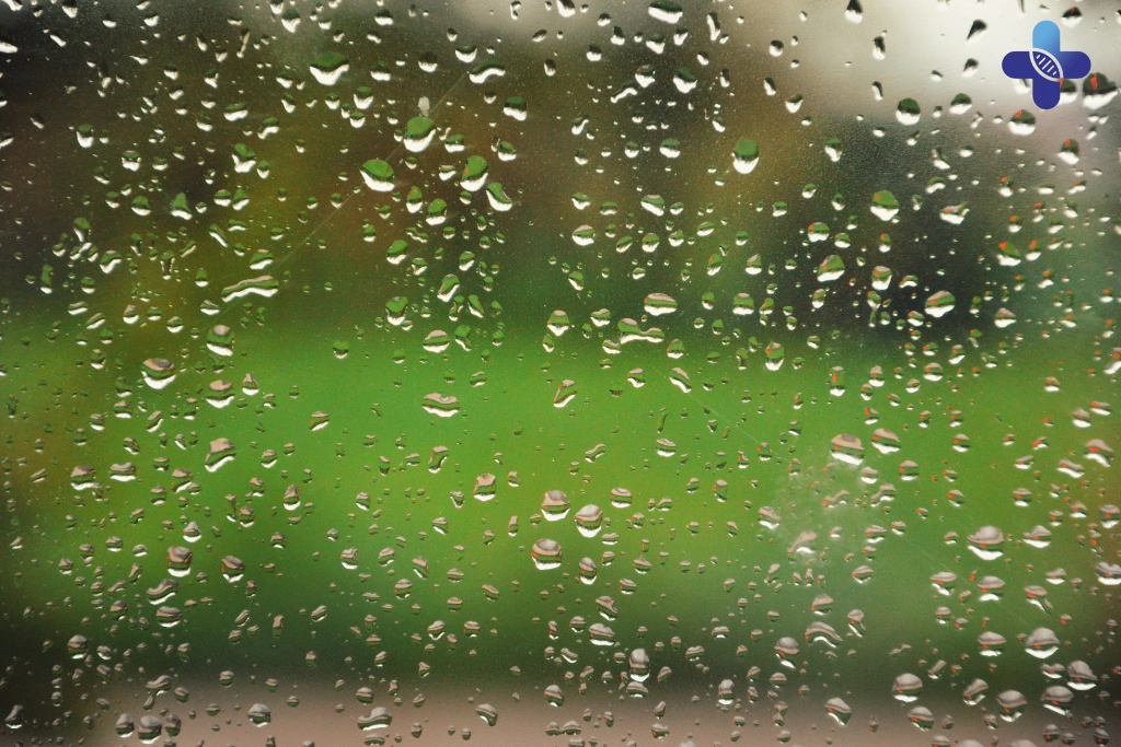 How to Stay Healthy During Bali’s Rainy Season