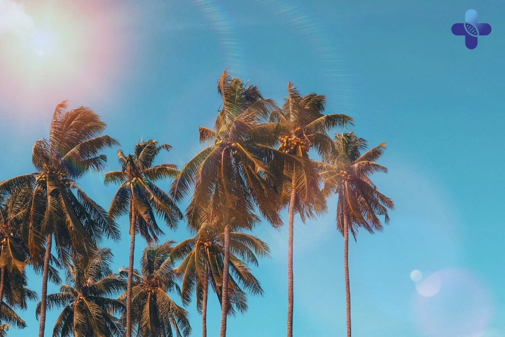 IV Drip vs. Coconut Water_ Which is The Best Rehydration Method in Bali