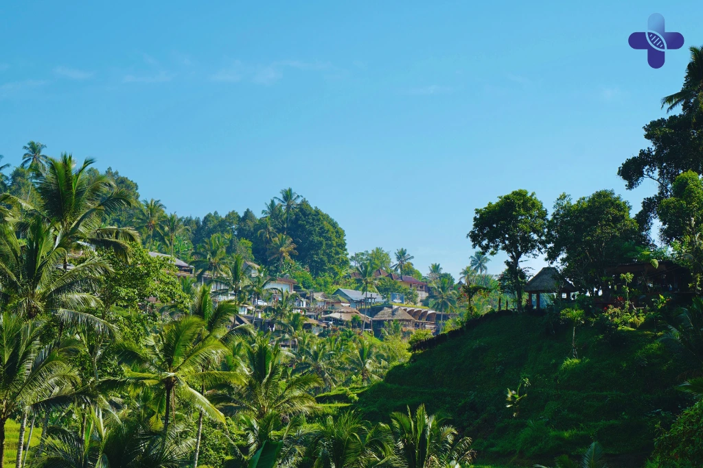 Conclusion Mosquitoes in Paradise — The Hidden Risk Most Tourists Forget (2025)