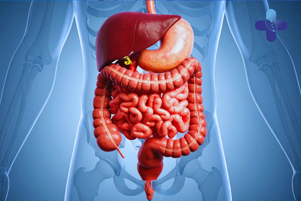 Are You Accidentally Hurting Your Stomach in Bali_ Here Are the Most Common Traveler Mistakes