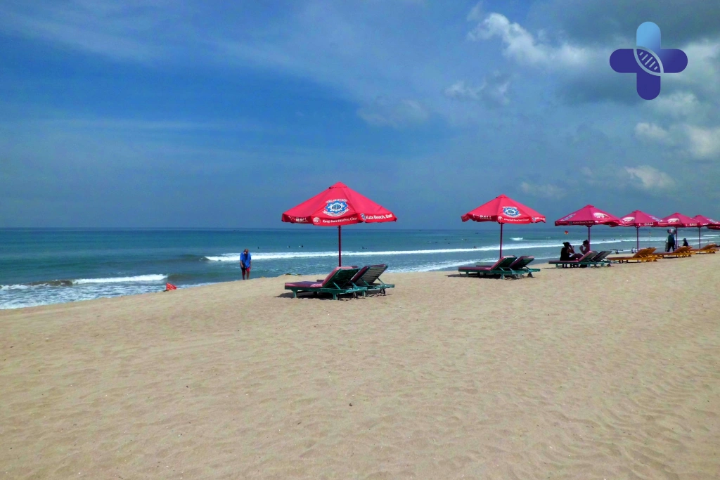 Conclusion Bali Belly for Surfers_ Fast Recovery & Care Guide